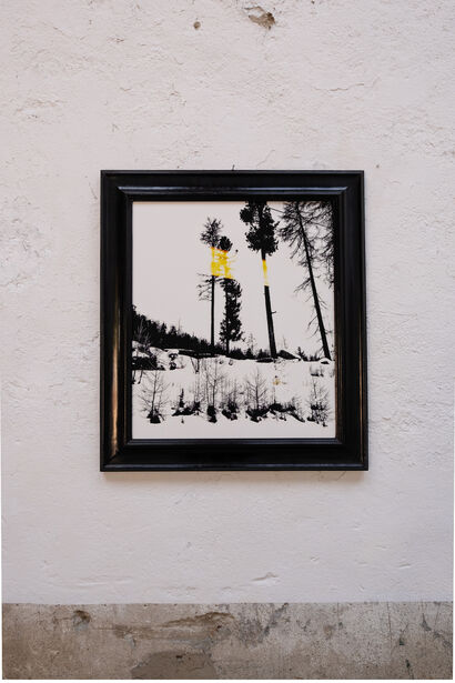 Landscape - a Photographic Art Artowrk by Patrick John Steiner